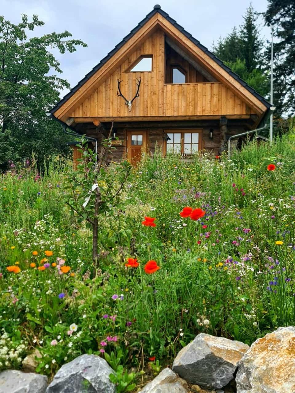Holiday home Blockhaus Panhuette